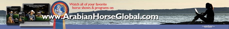 Arabian Horse Global